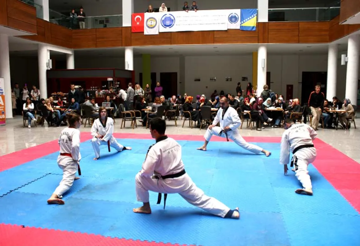 IUS Tae Kwon Do Club holds presentation and training session 