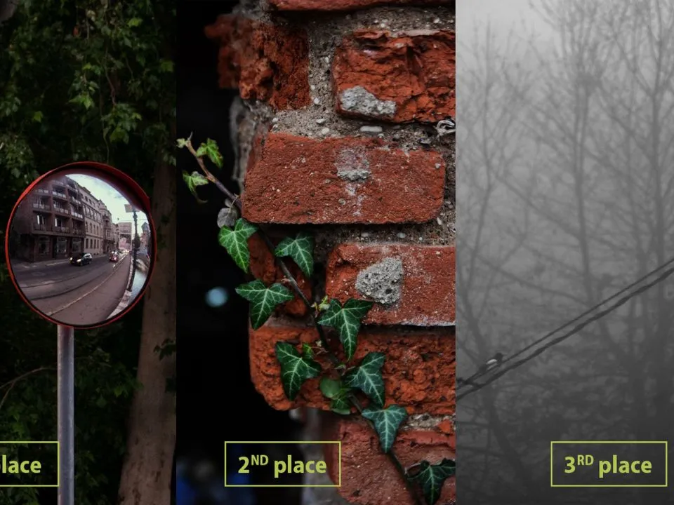 IUS Student Photo Contest 2026 – “Concrete Jungle”