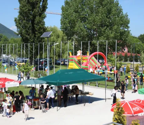 Spring Festival 2017 Held at IUS