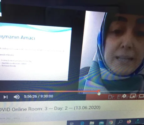 Three IUS scholars at INTERNATIONAL CONFERENCE OF COVID-19