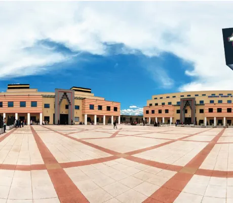 Dr. Tesser presents paper on conference in Romania 