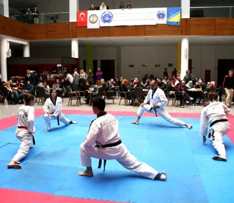 IUS Tae Kwon Do Club holds presentation and training session 