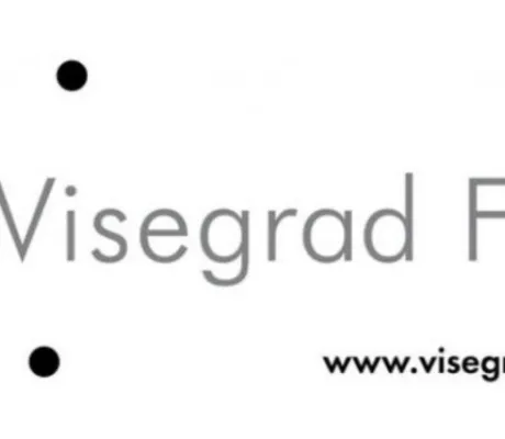 Visegrad Fund Scholarship Opportunities