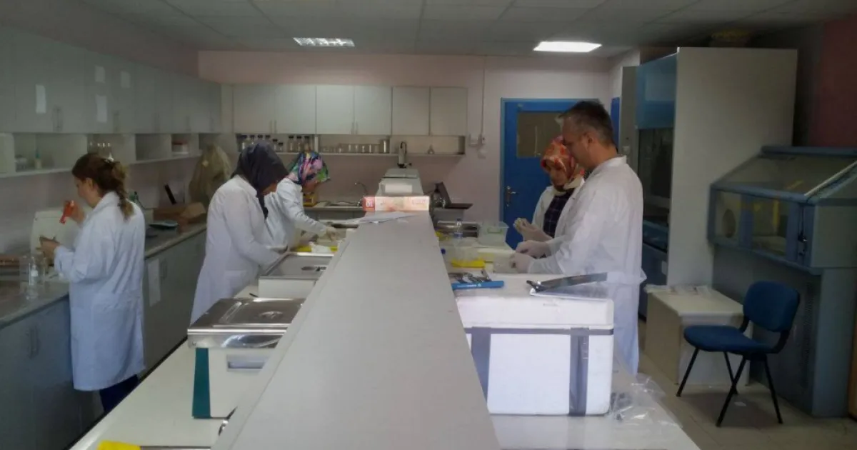 Research trip to Harran University