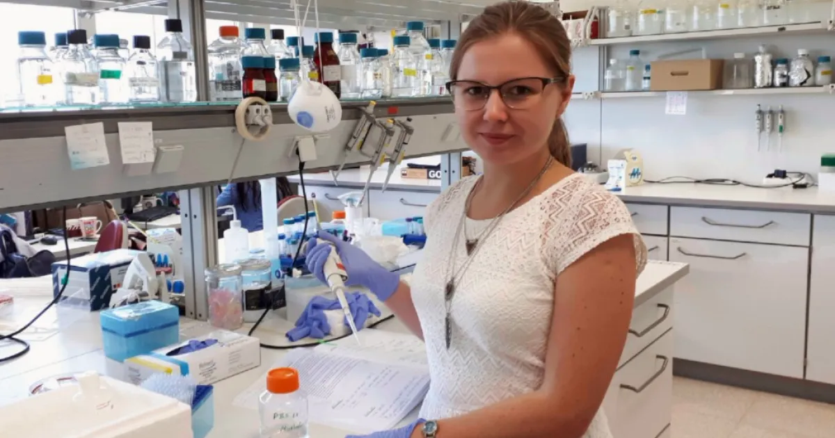 From Student Exchange to Student Internship