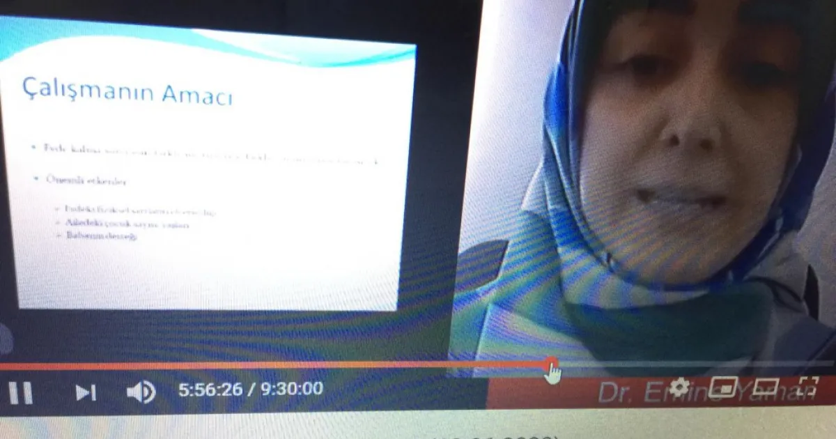 Three IUS scholars at INTERNATIONAL CONFERENCE OF COVID-19