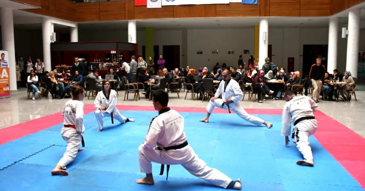 IUS Tae Kwon Do Club holds presentation and training session 