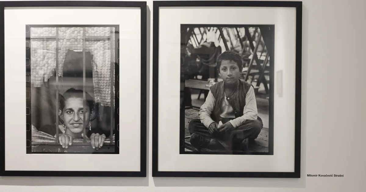 “Same Old Story,” a multimedia exhibition 